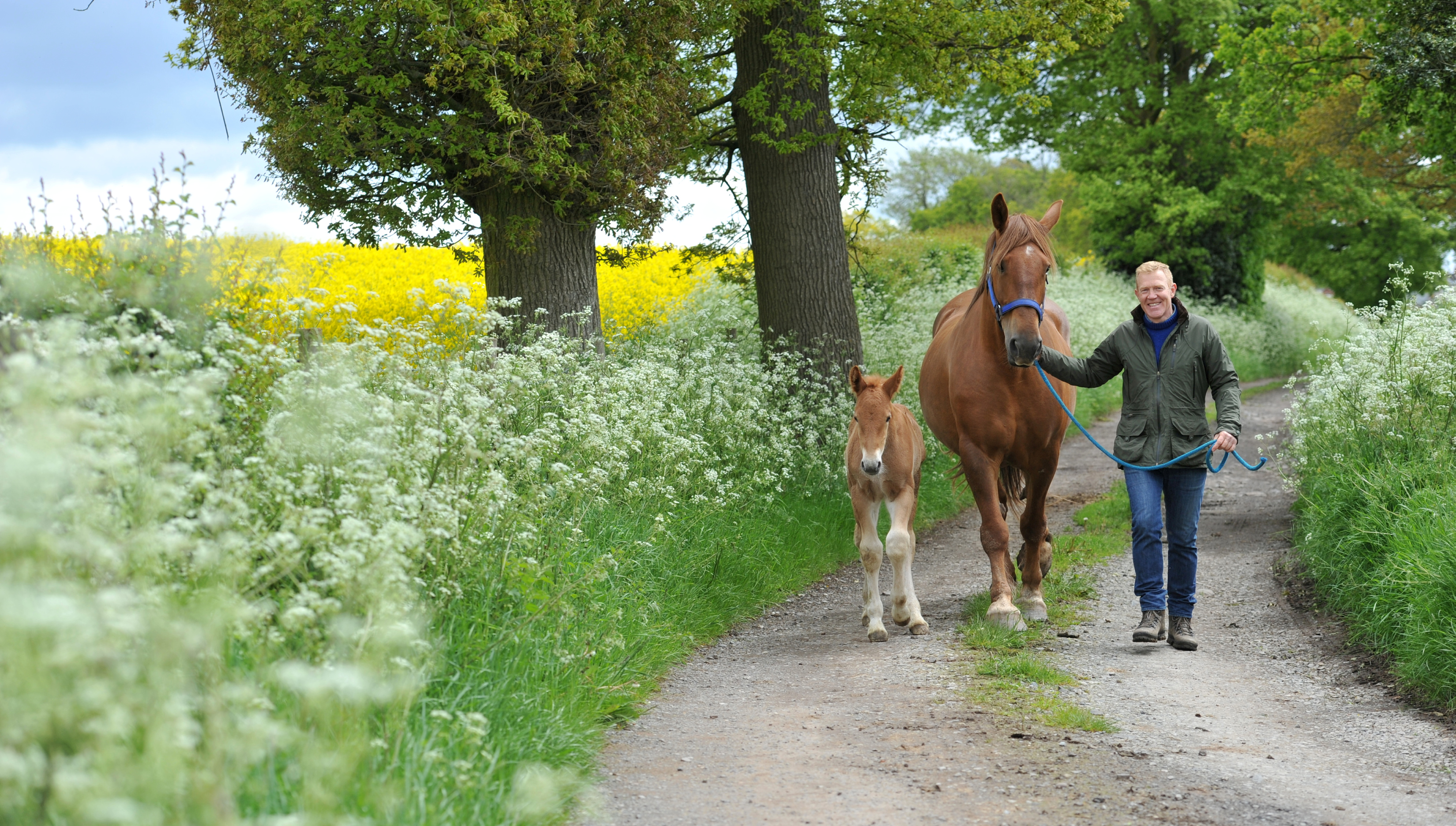 Suffolk Punch Foal 250521 03