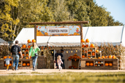 Pumpkin Patch 2021 13