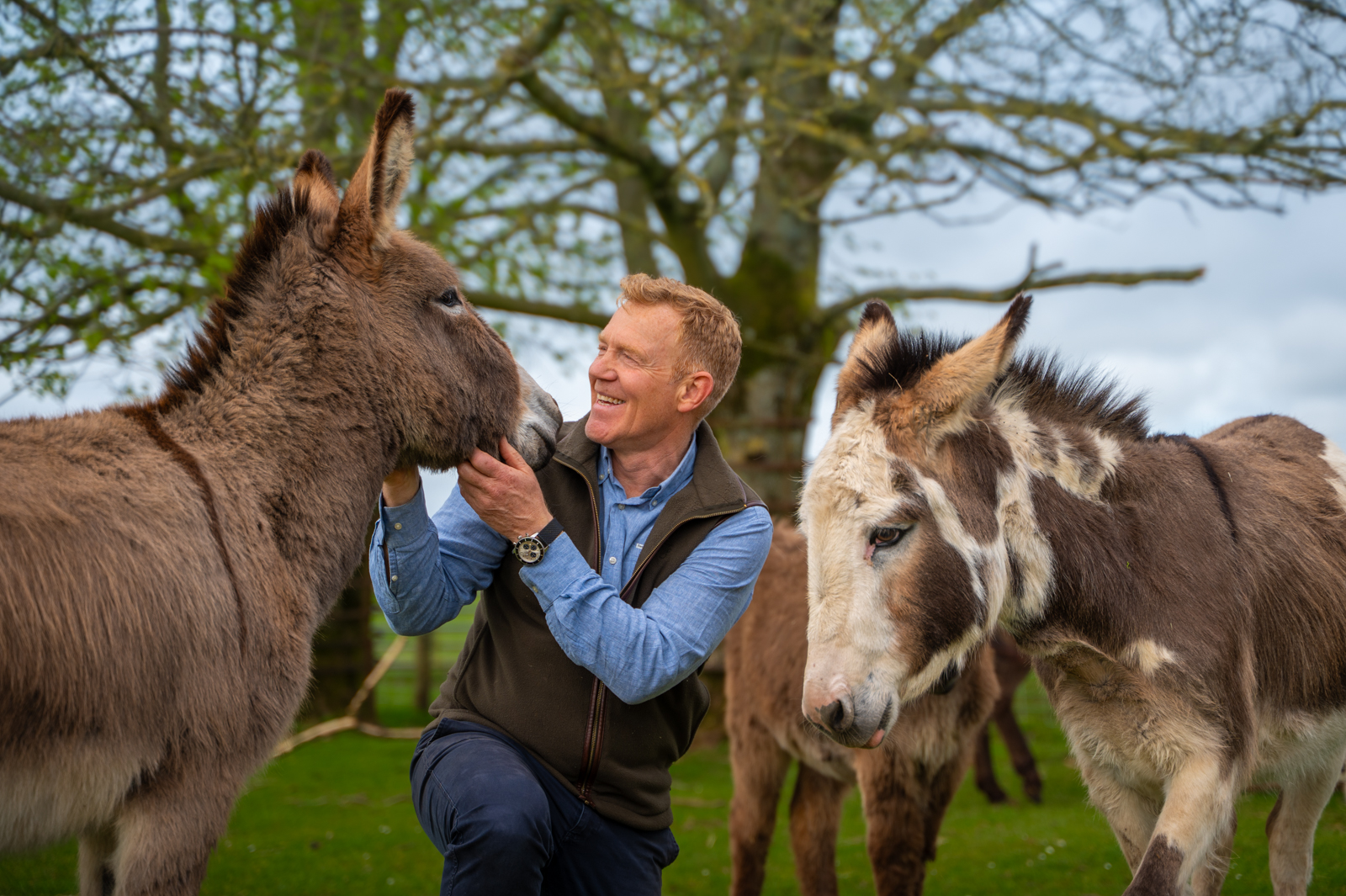 Adam & Donkeys