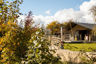 Autumnal Campsite