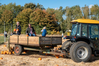 Family In Pumpkins 22 2