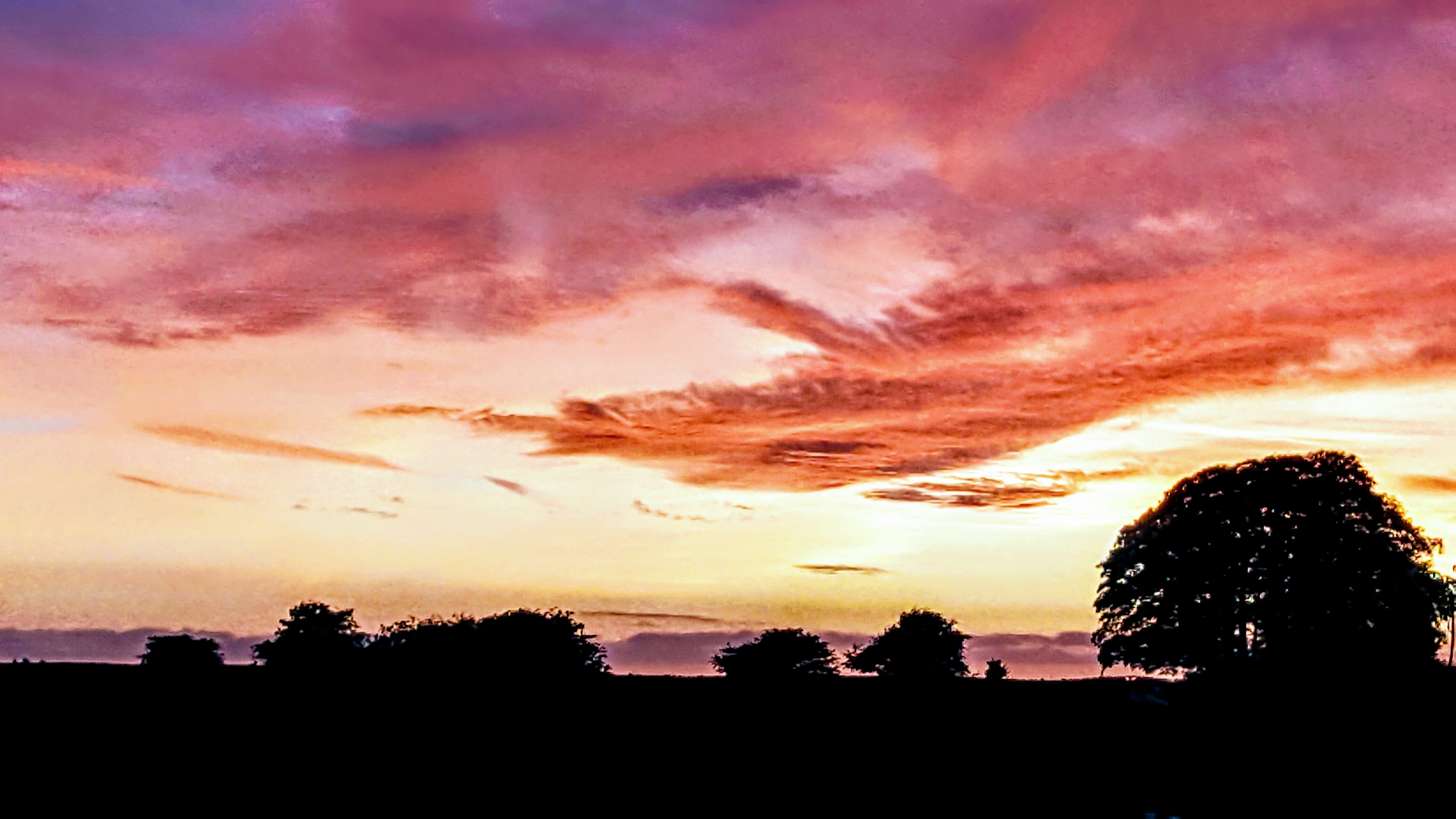 Red Sunset