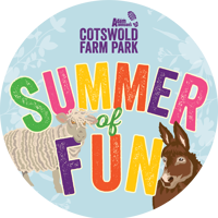 Summer Of Fun Logo (1)