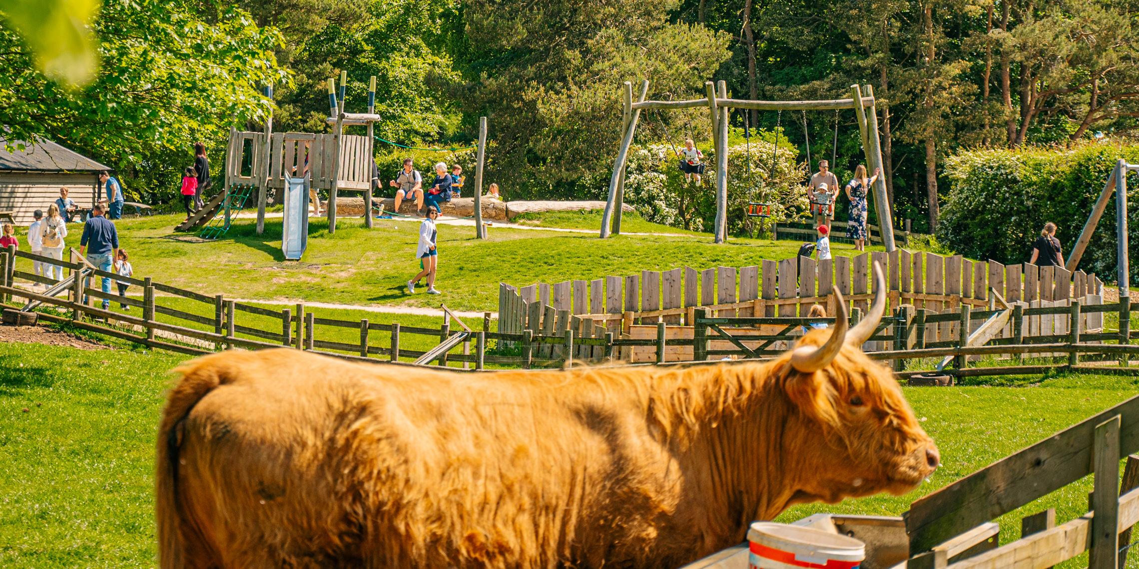Cotswold Farm Park, family in Guiting Power