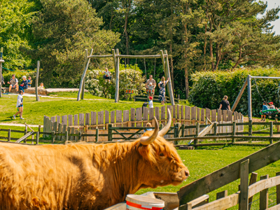 Families enjoying the hillside play area