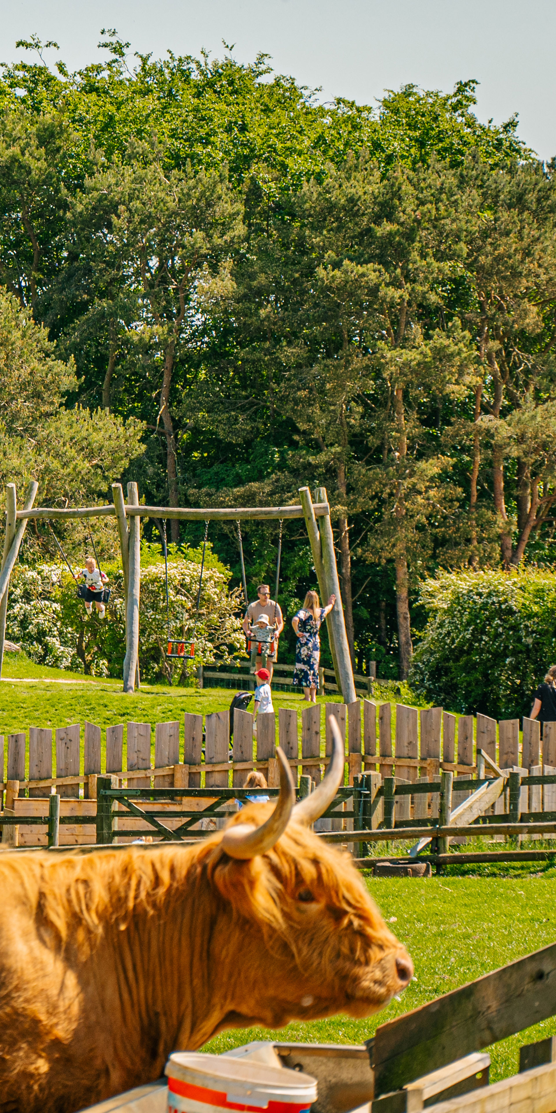 Cotswold Farm Park UK Short Breaks Home Of Adam Henson cotswold-farm-park-uk-short-breaks-home-of-adam-henson