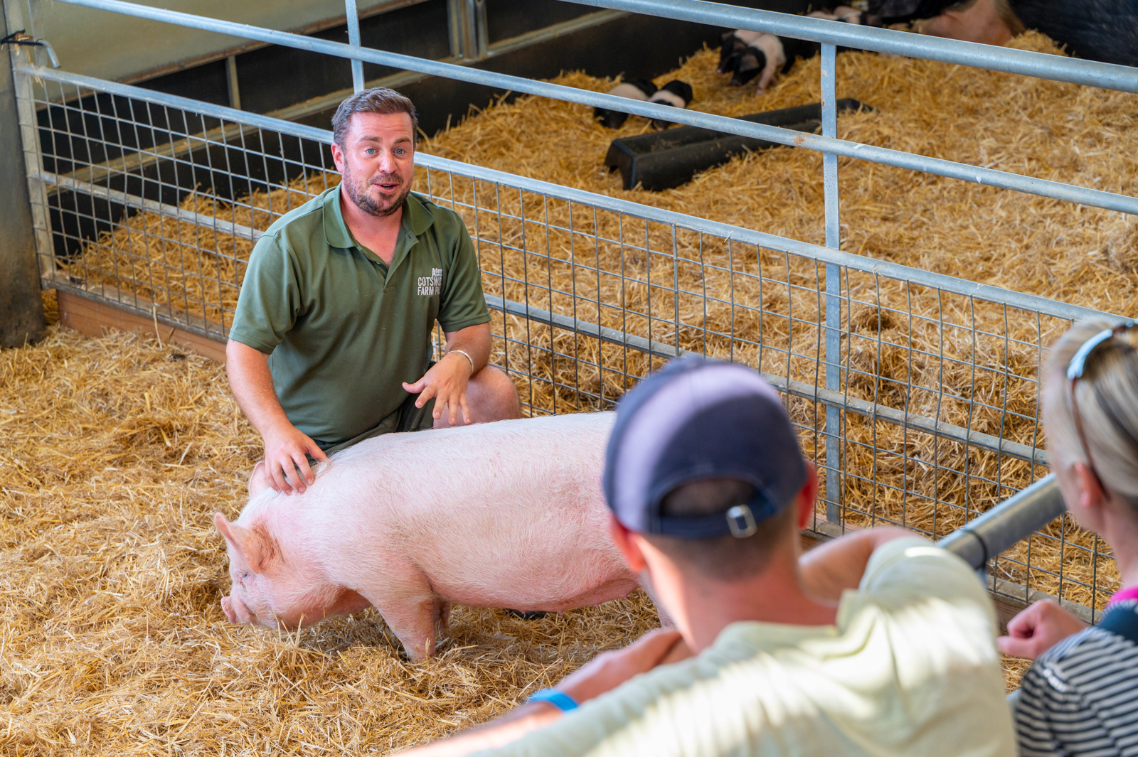 Marge Pic