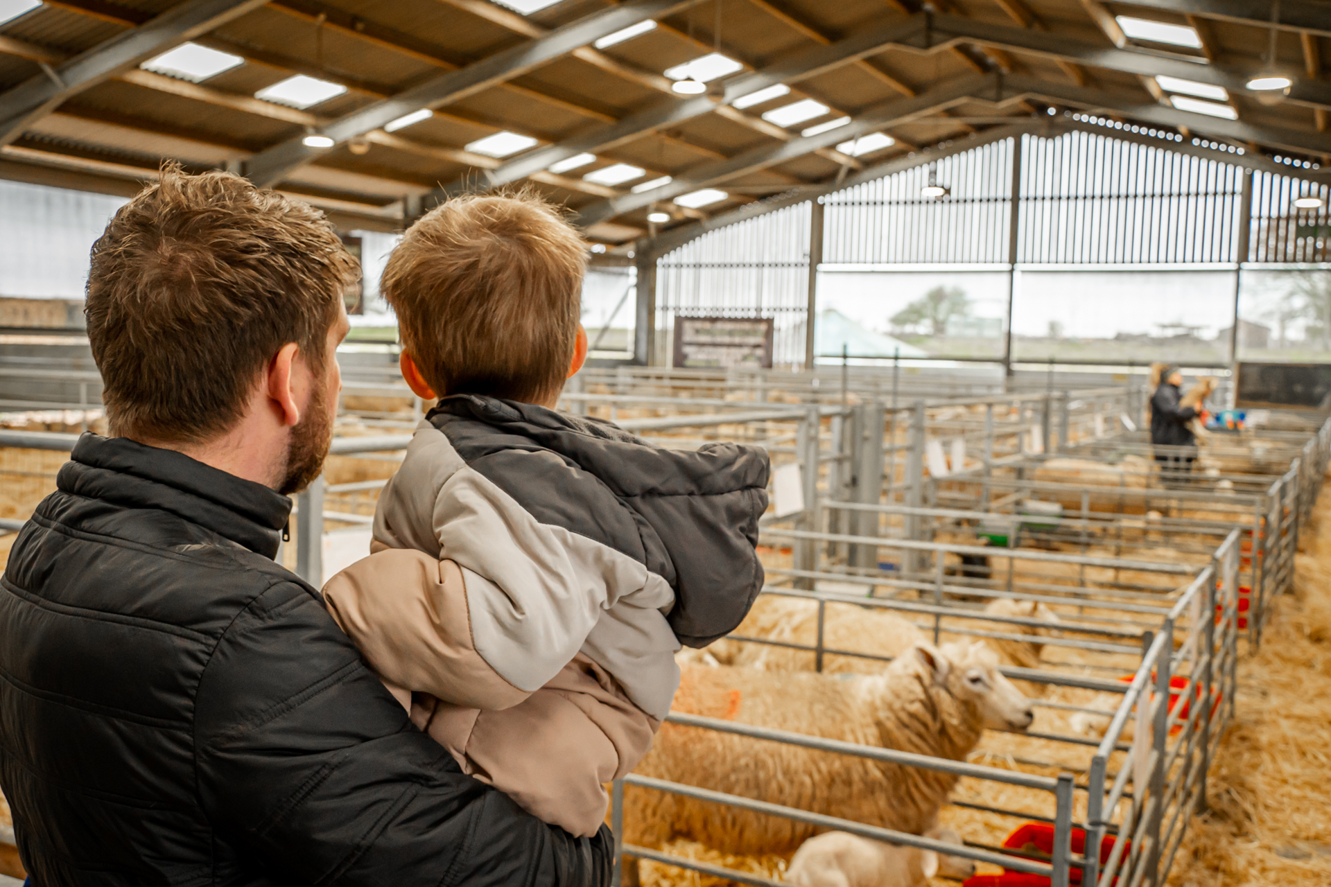 Willow, Jed & Parker 04