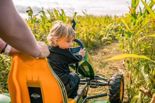 Pumpkin Patch At Cotswold Farm Park 9