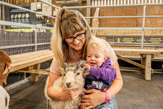 Meet The Farmyard Animals Rosie B