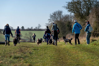 Dog Walk March 24 3