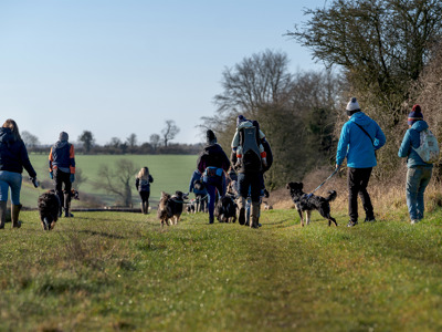 A group of people and their pets on a Cotswold Dog Walk at Cotswold Farm Park
