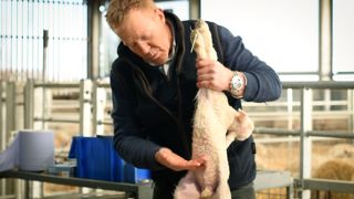 Adam Hensons Farm Diaries Ewe Nutrition Lambing Tips.00 04 42 25.Still005 1536X864