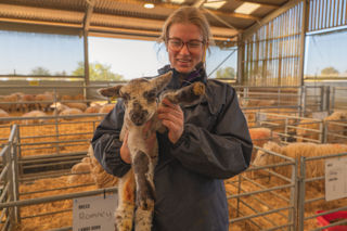Cotswold Farm Park team member Jade holding a white lamb with black spots, waving a leg to the camera