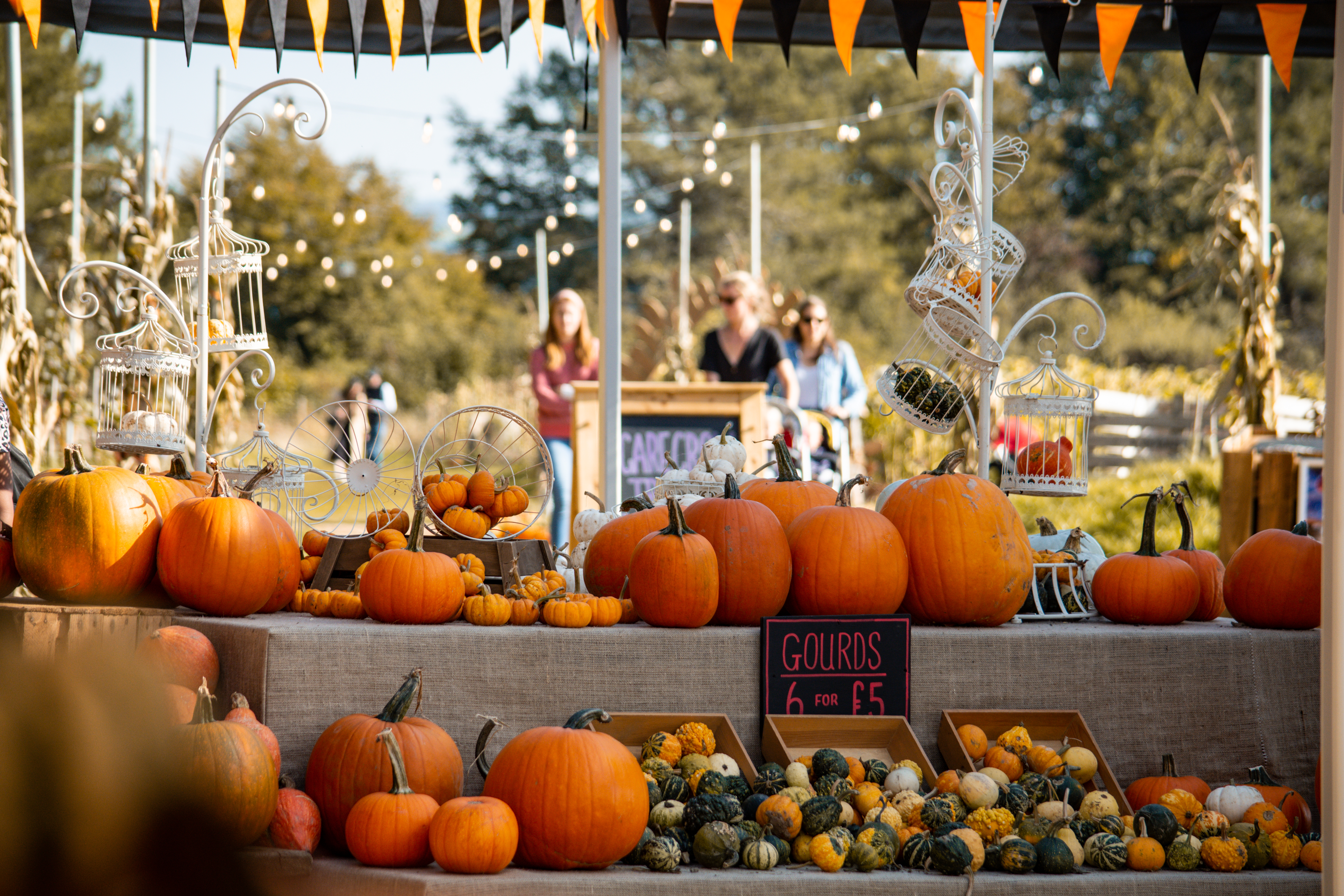 Pumpkin Patch 2021 24