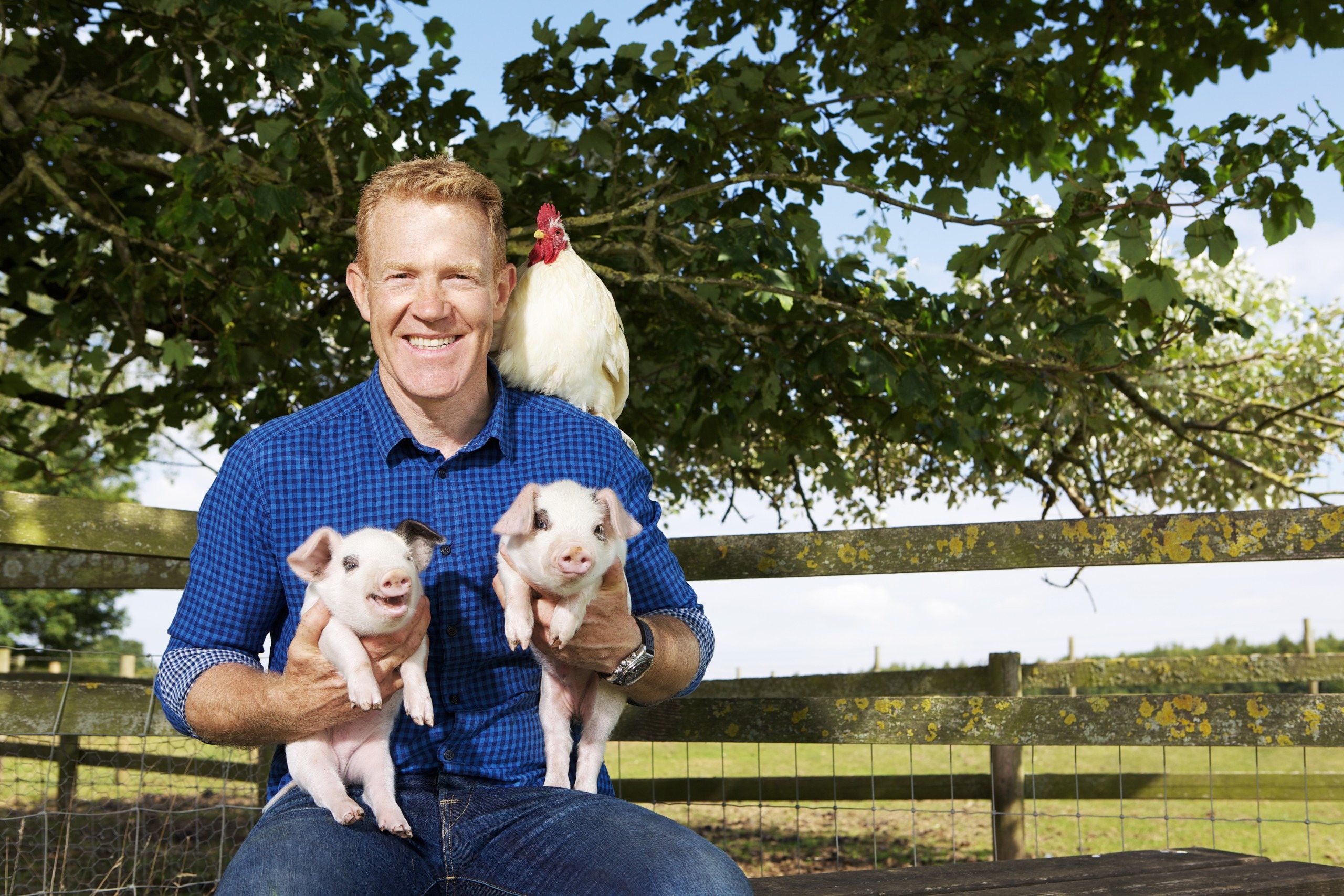 Adam Henson With Gloucestershire Old Spot Piglets 1 Scaled