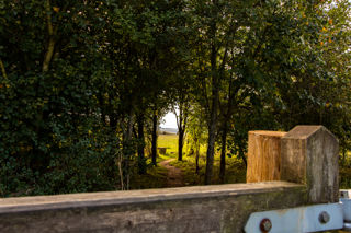 Autumnal Campsite 2021 69