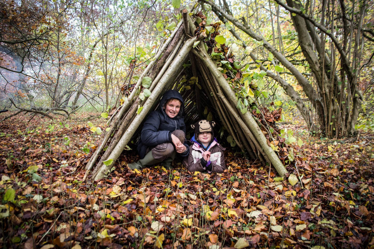 Den Build Web