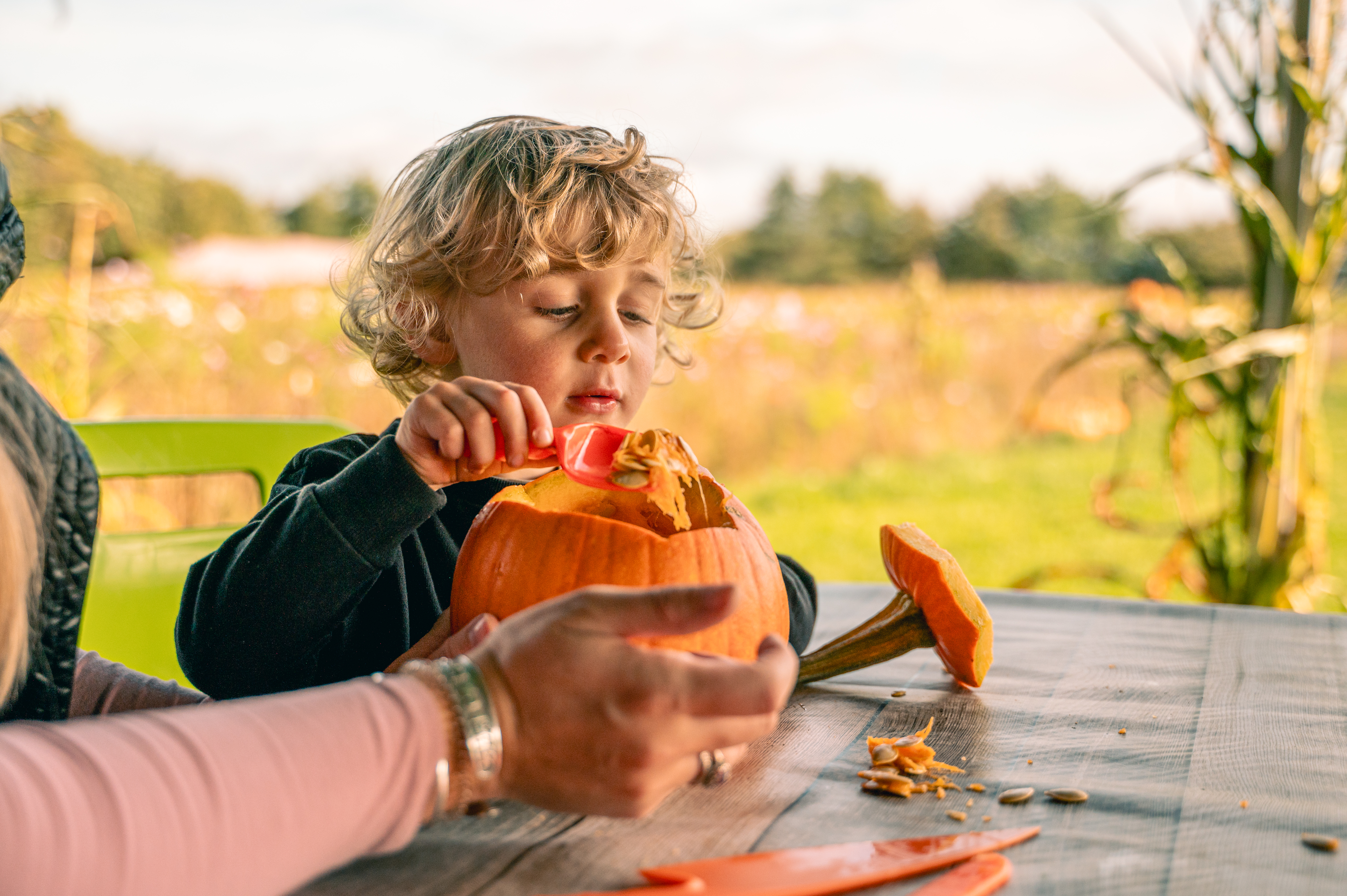 CFP Pumpkins 2023 106