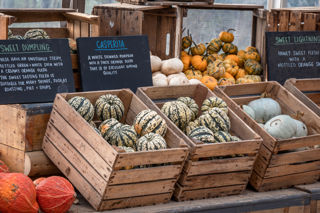 Gourd Enough To Eat Pumpkins 22