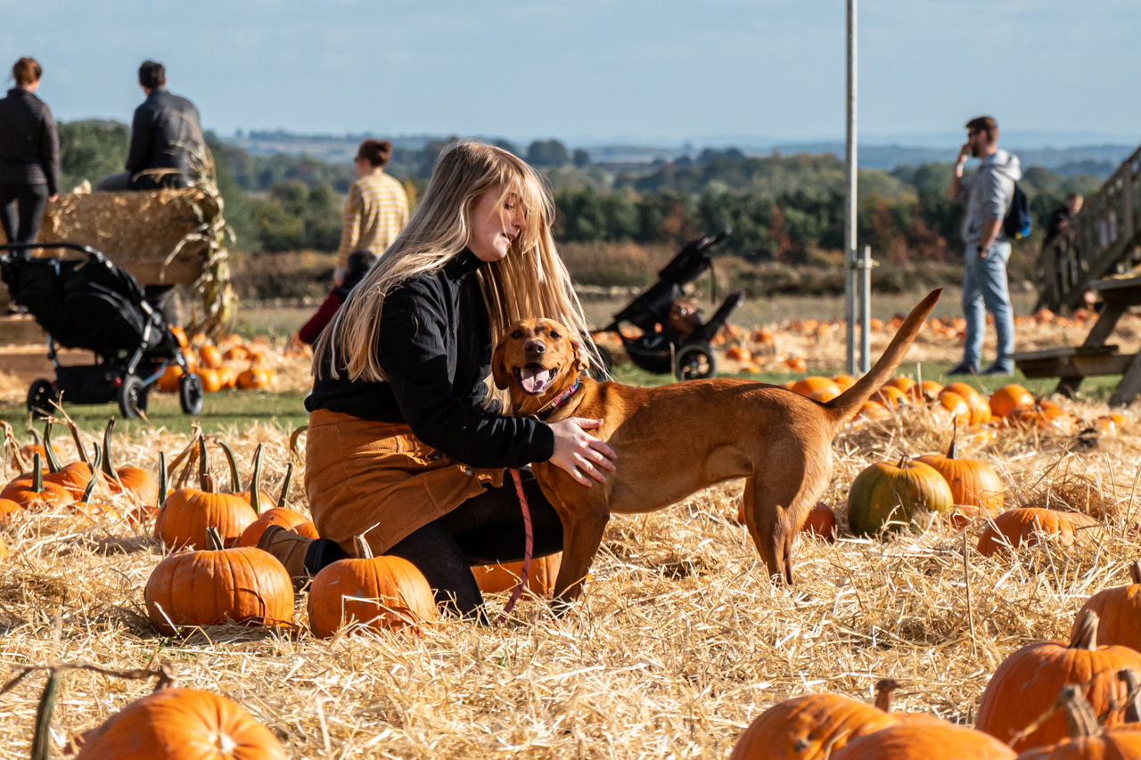 Leyla In Pumpkins 22 3