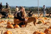 Leyla In Pumpkins 22 3