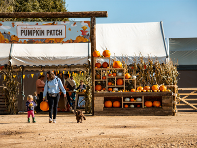 Pumpkin Patch 2021 1 2