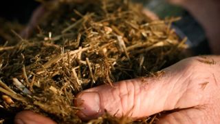 Adam Hensons Farm Diaries Ewe Nutrition Lambing Tips.00 02 24 31.Still003 1200X675