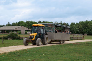 A yellow tractor rides through the field with a trailer full of people waving happily at the camera.