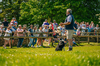 A man in a blue gilet and shorts stands with a black and white sheepdog at his feet, speaking to an interested crowd of families on a warm summer day in the Cotswolds.