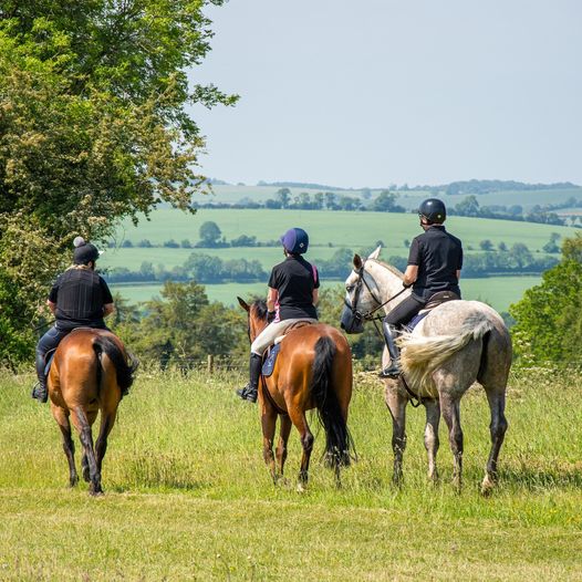 355011470 729823655813665 8736400109464850803 N