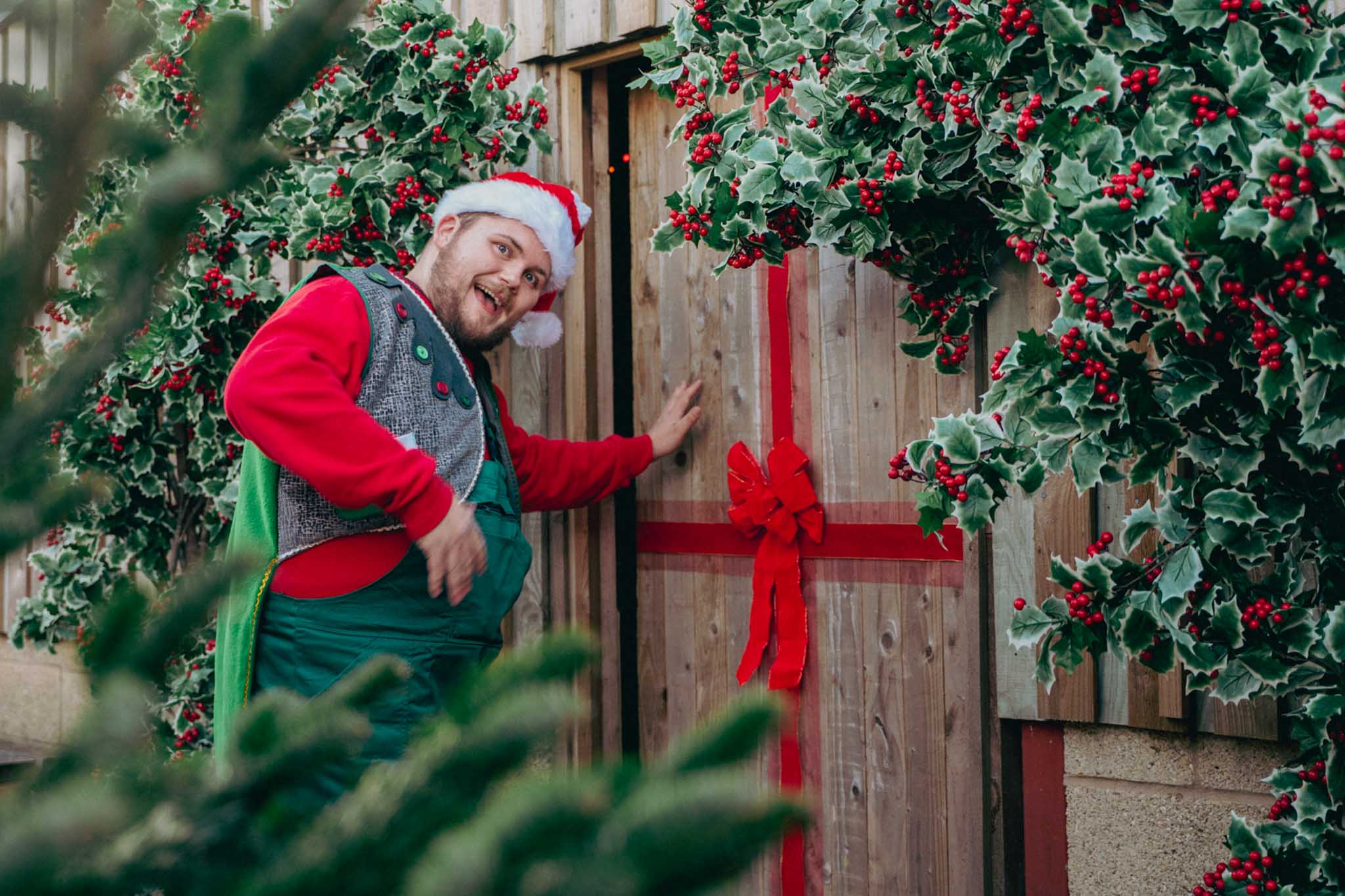12 Christmas On The Farm 2