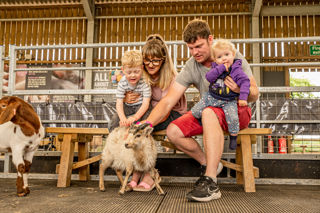 A family meeting The Farmyard Animals
