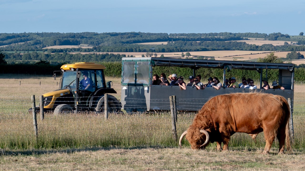 Tractor Ride
