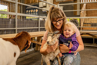 Meet The Farmyard Animals Rosie B 17