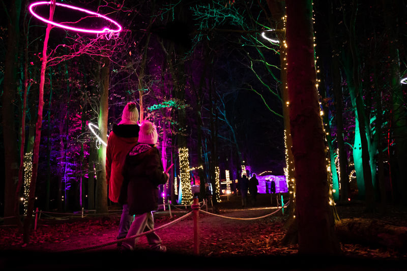 Magical Forest