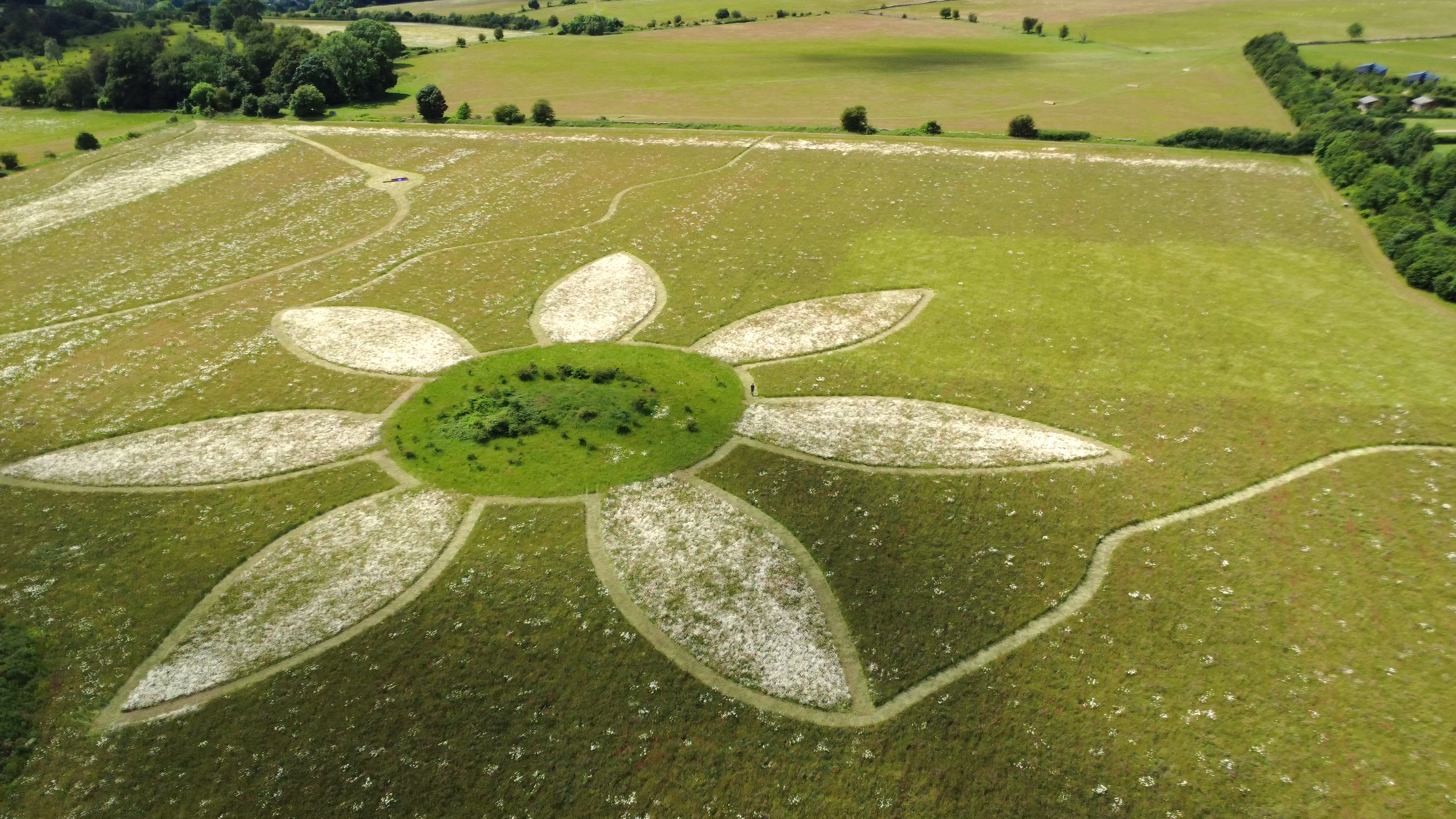 Pollinator Trail