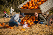 Pumpkin Patch 2021 11 2