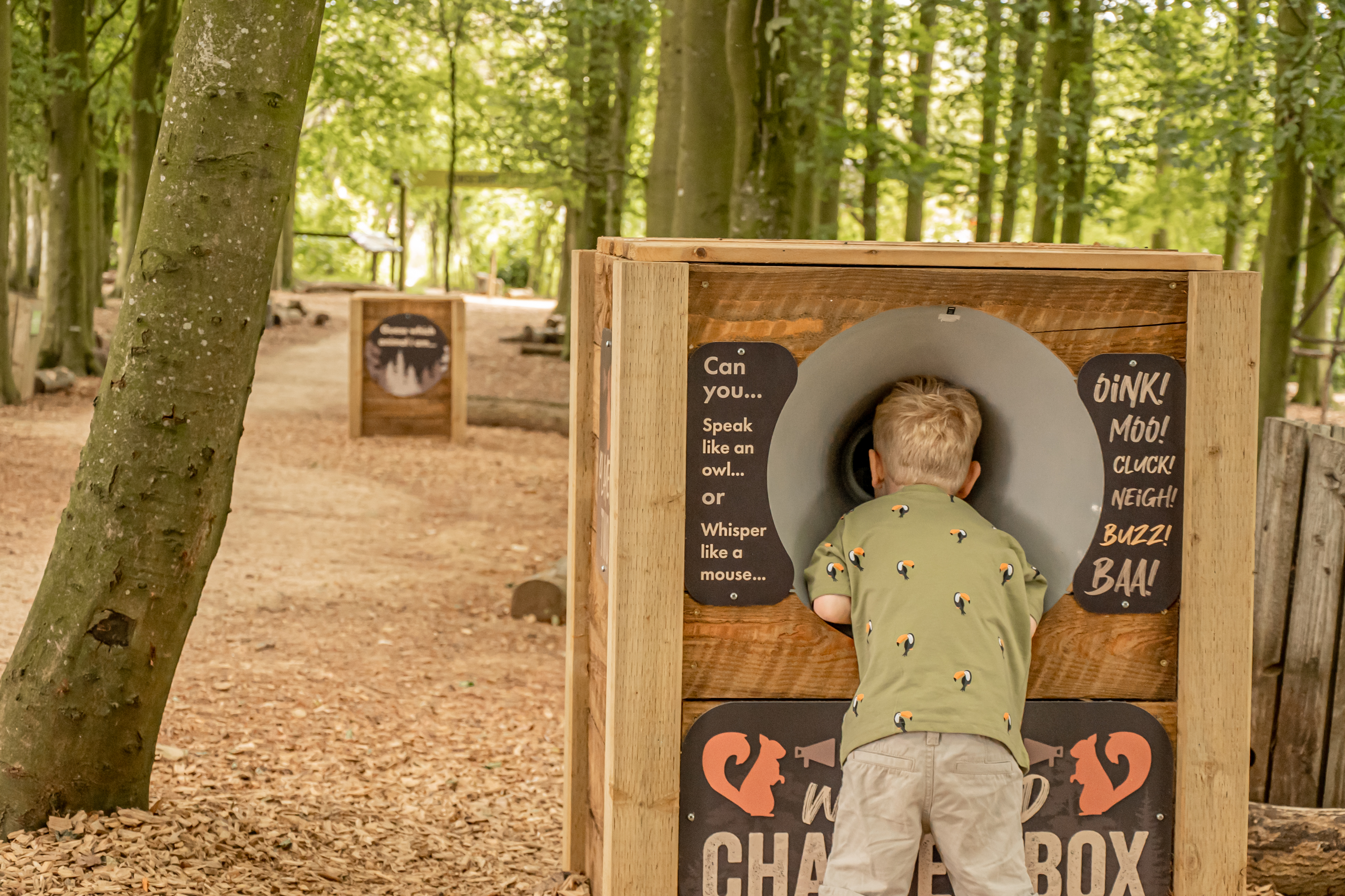 Woodland Walk Rosie B 2023 9