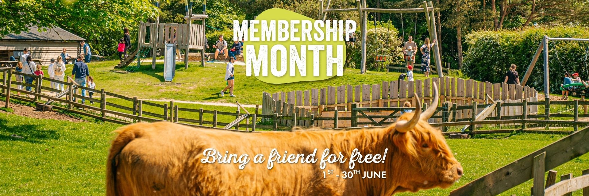 Membership Month (1)