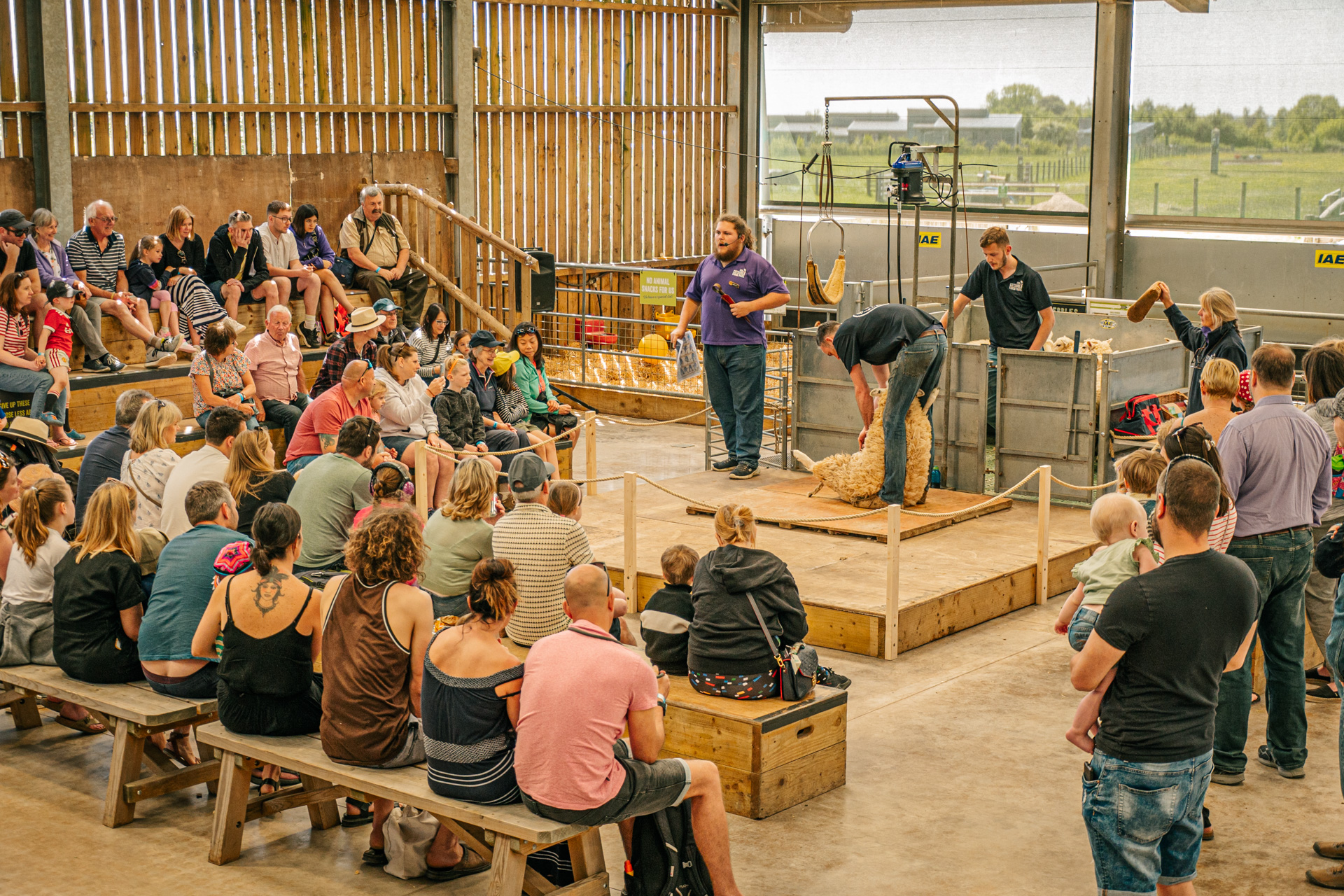 CFP May Half Term Shearing