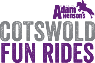 Fun Ride Logo SQ (Grey Purple)