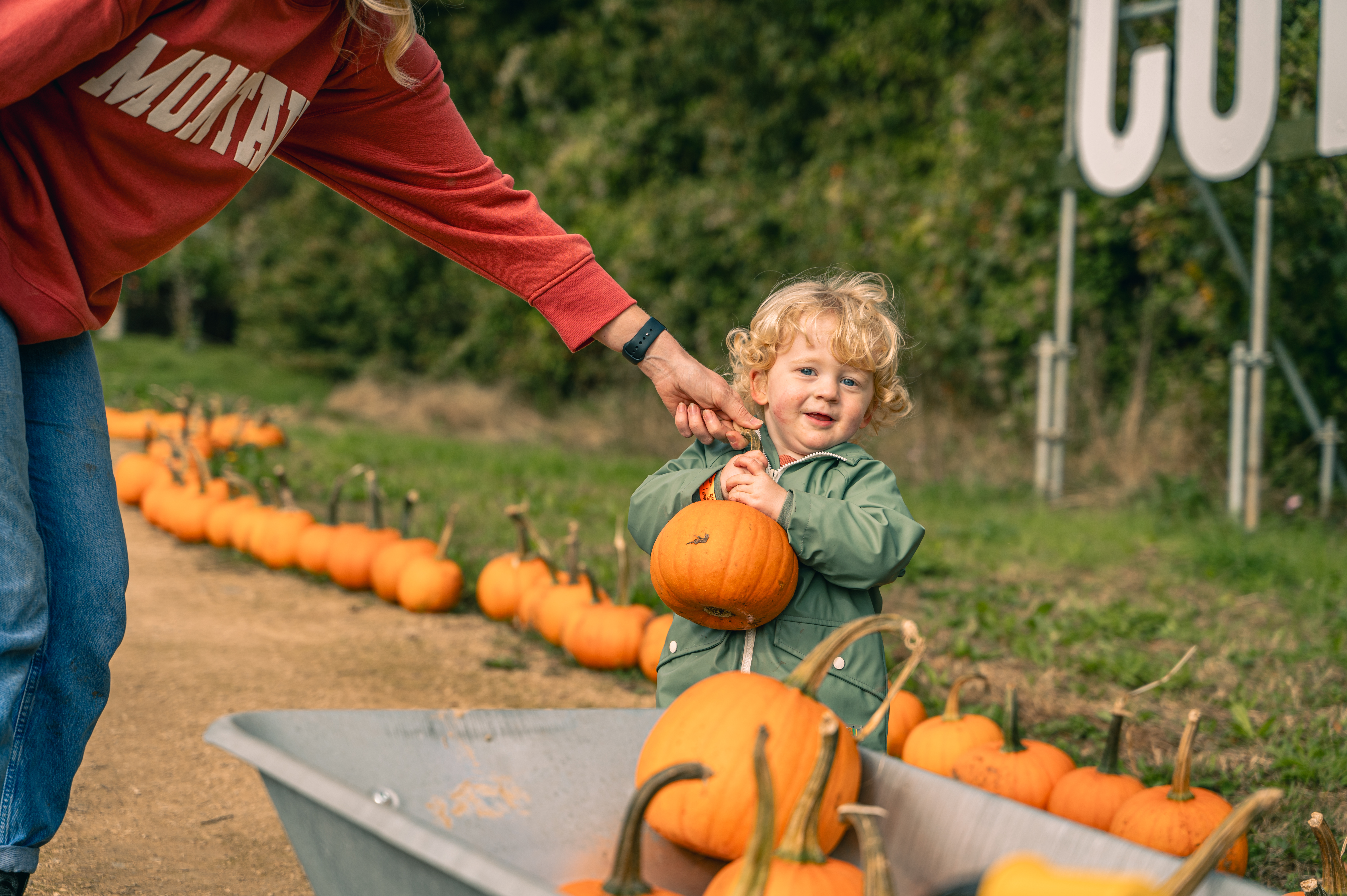 CFP Pumpkins 2023 026