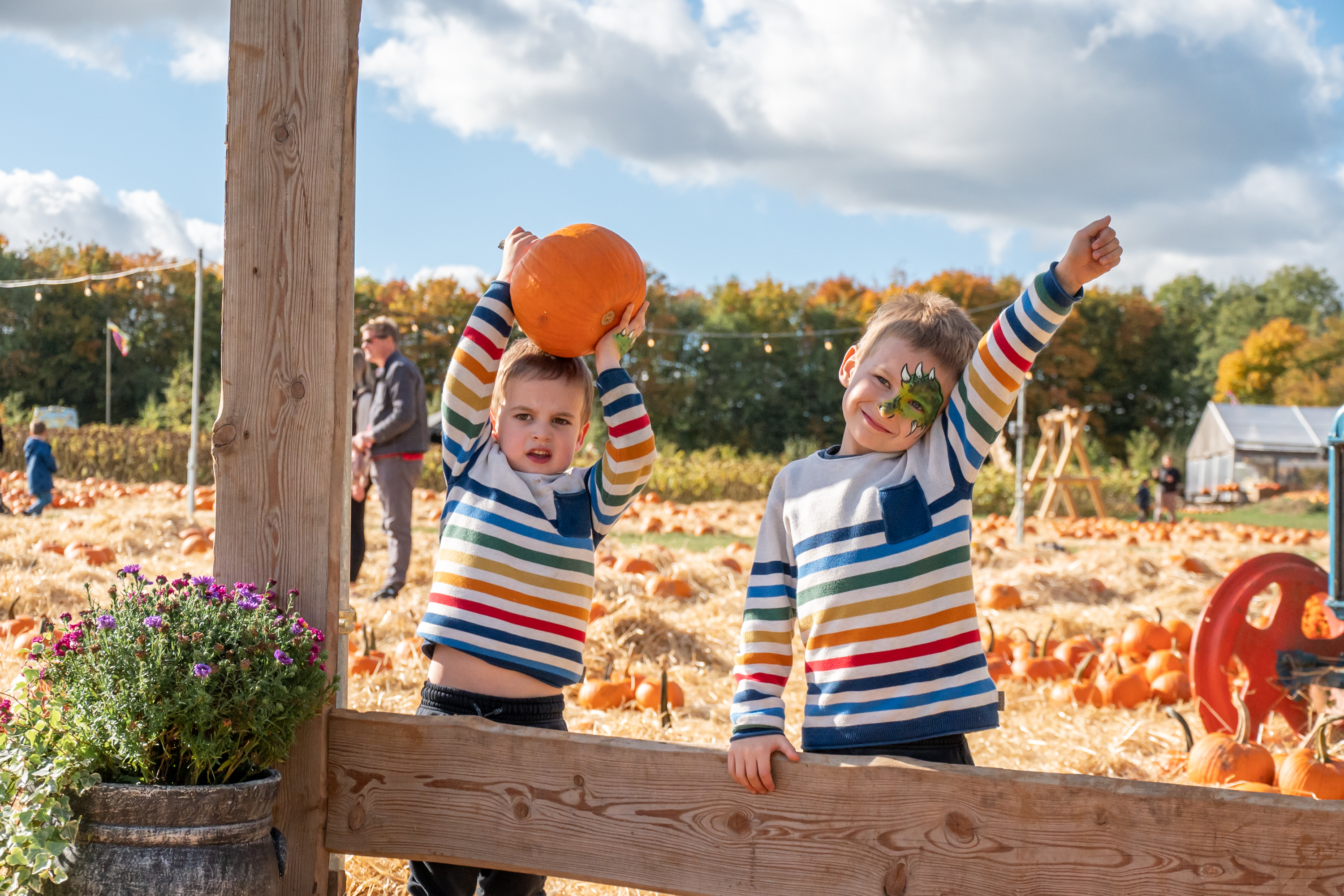 Rainbow Boys In Pumpkins 22 1