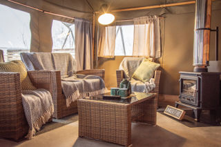 Sunflower Safari Tent 2021