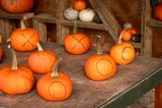 Pumpkin Games Pumpkins 22
