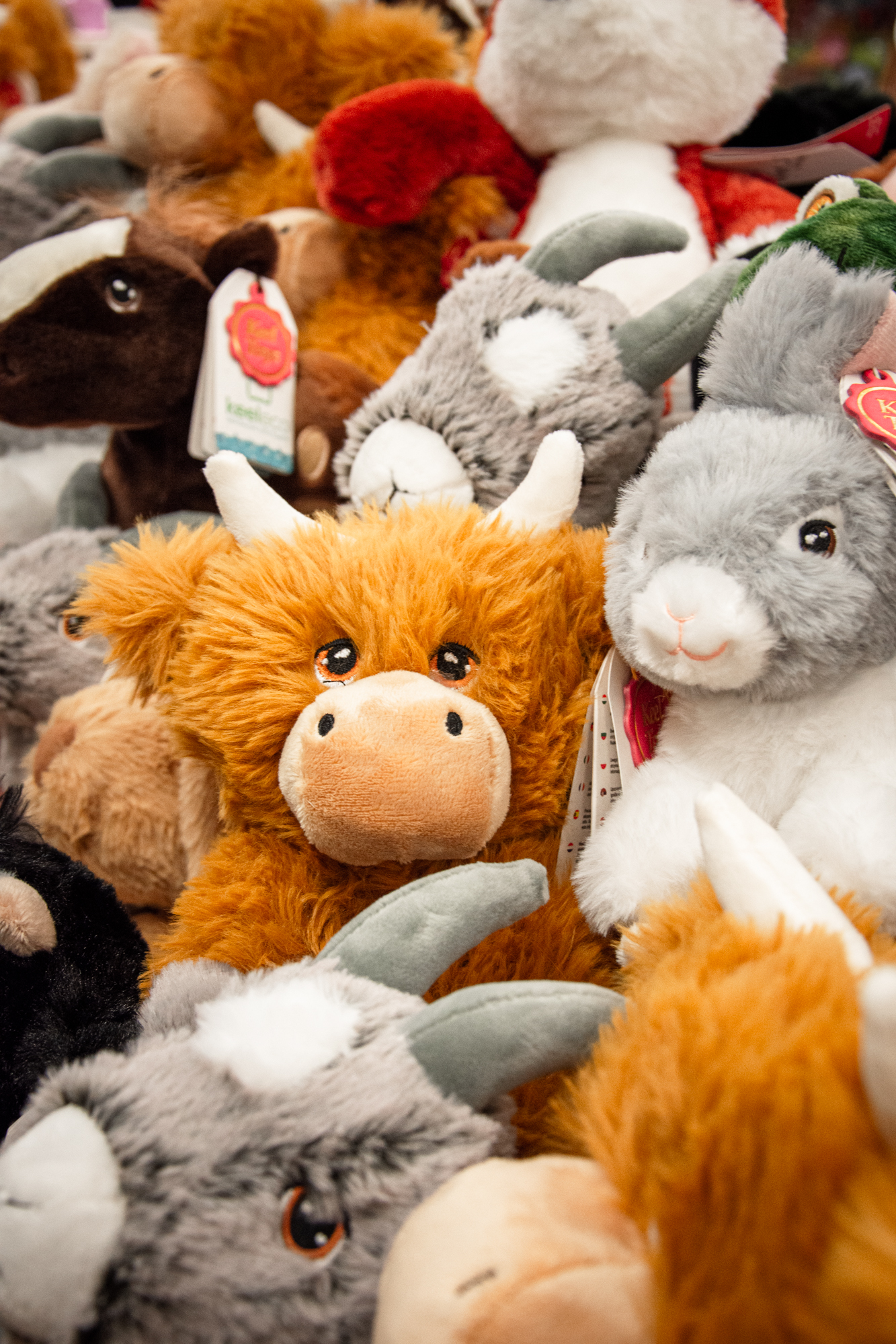 Blog Cotswold Farm Park